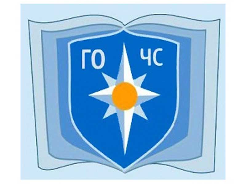 Правила безопасного поведения в лесной зоне..